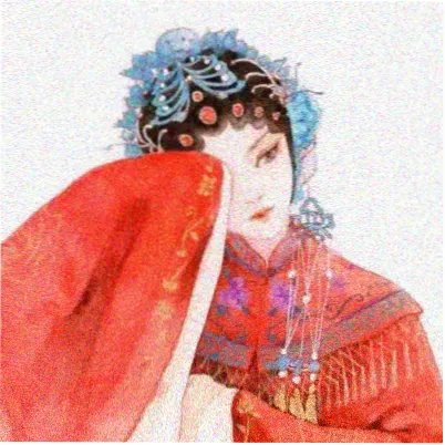 读者南屏头像